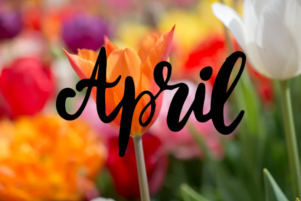 April 2025 – Music Moments