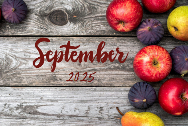 September 2025 – Music Moments