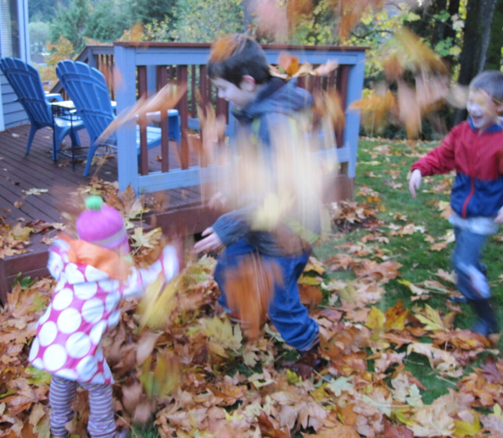 Kids playing in leaves